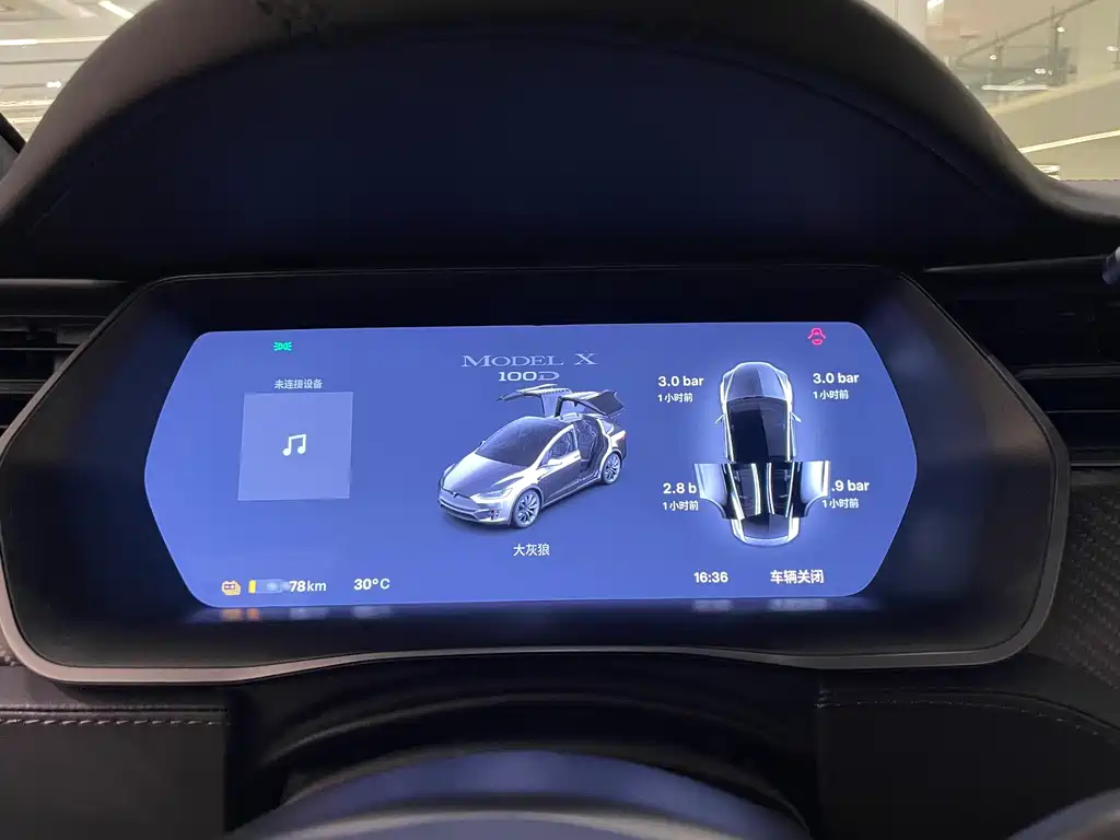 Tesla Model X — фото 14