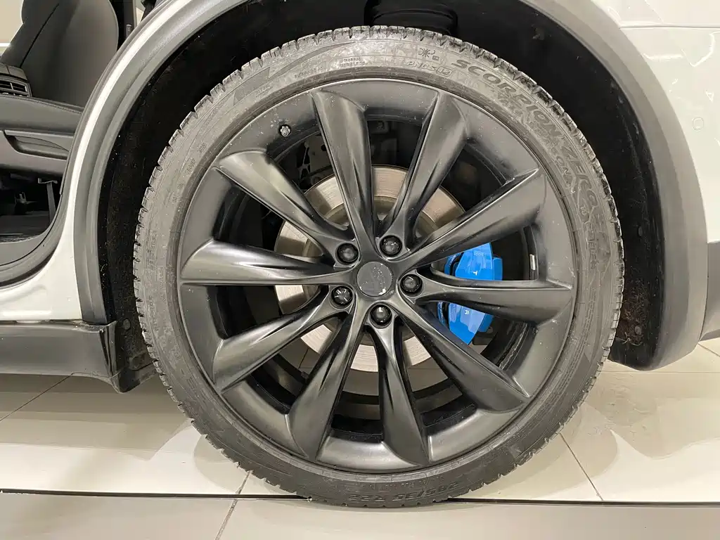 Tesla Model X — фото 20