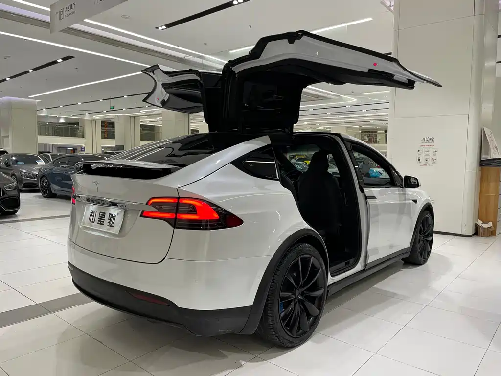 Tesla Model X — фото 3