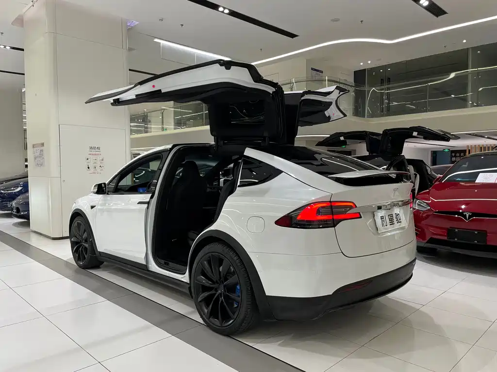 Tesla Model X — фото 4
