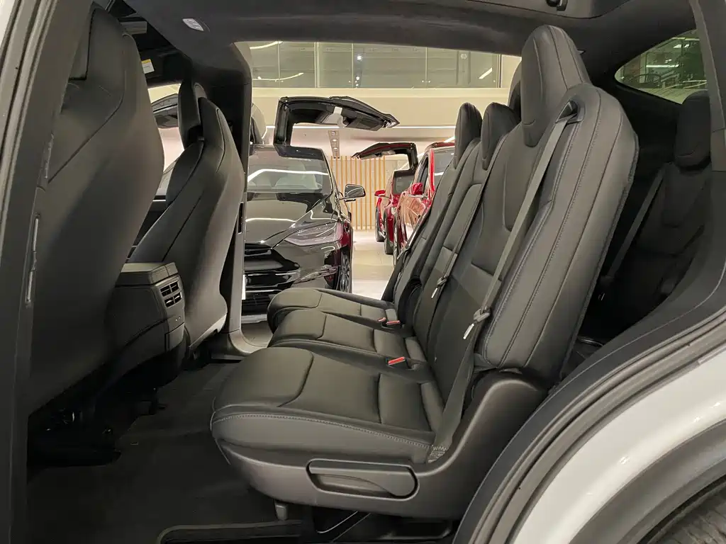 Tesla Model X — фото 6