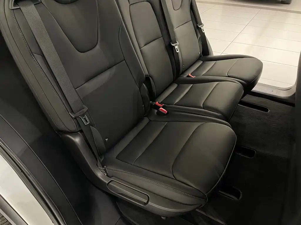 Tesla Model X — фото 10