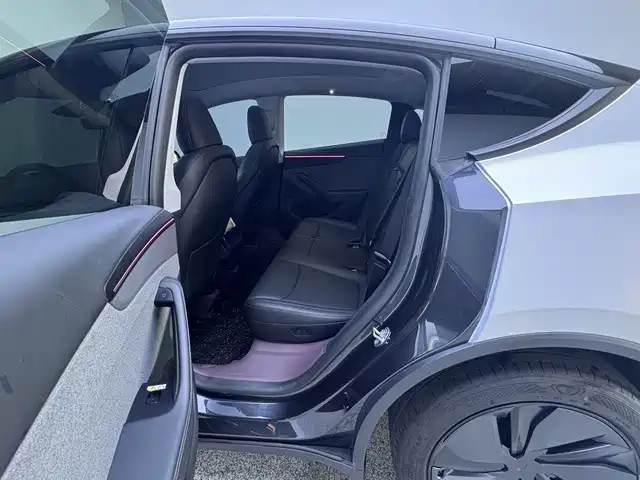 Tesla Model Y — фото 11