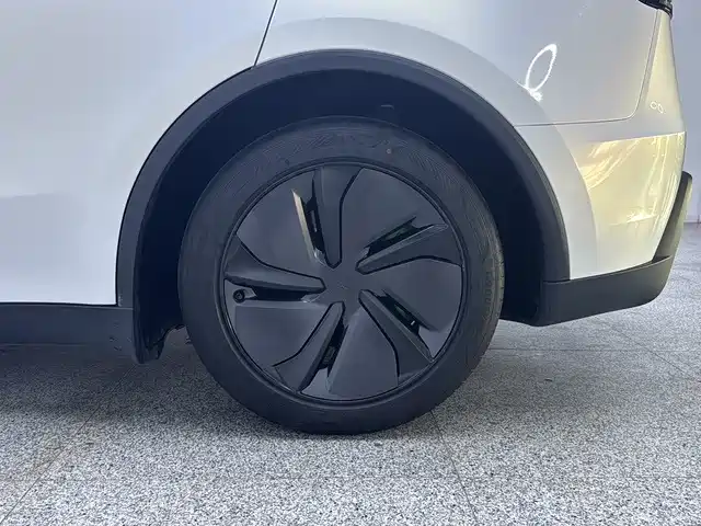 Tesla Model Y — фото 13
