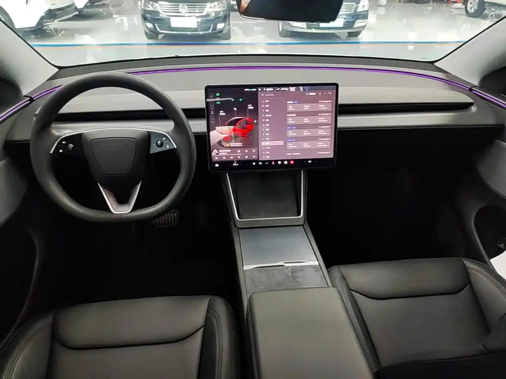 Tesla Model Y — фото 10