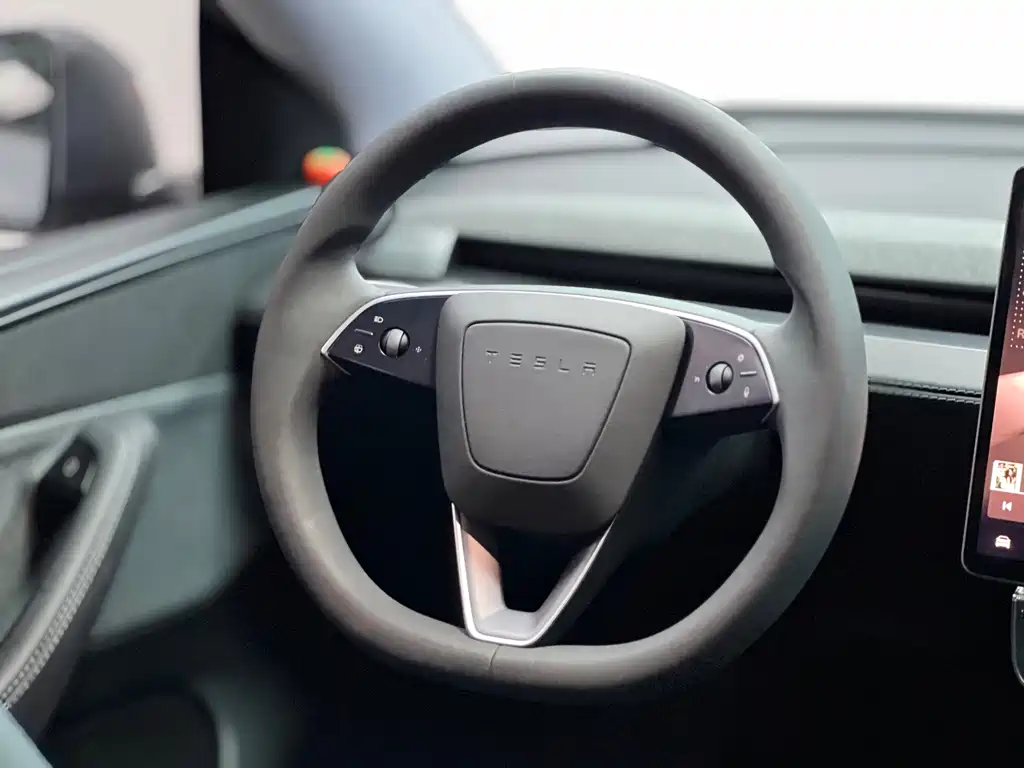 Tesla Model Y — фото 11