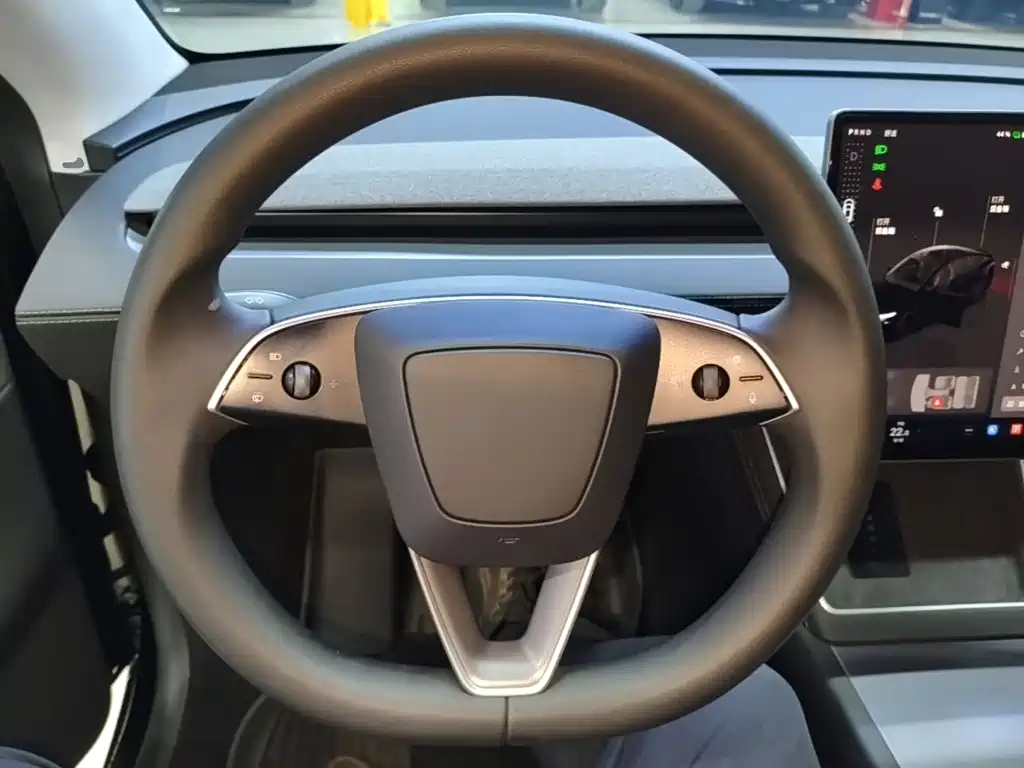 Tesla Model Y — фото 11