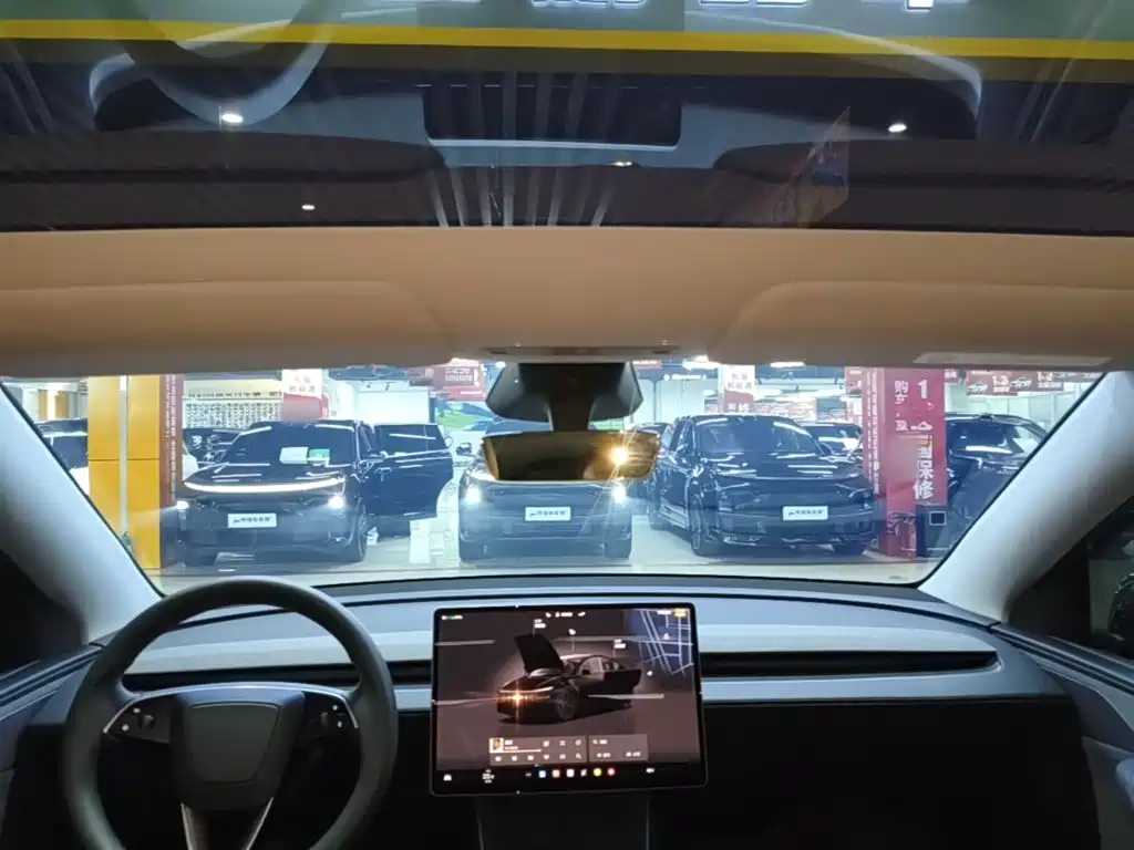 Tesla Model Y — фото 18