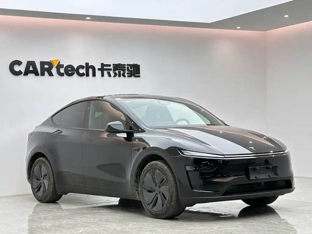 Tesla Model Y — фото 6