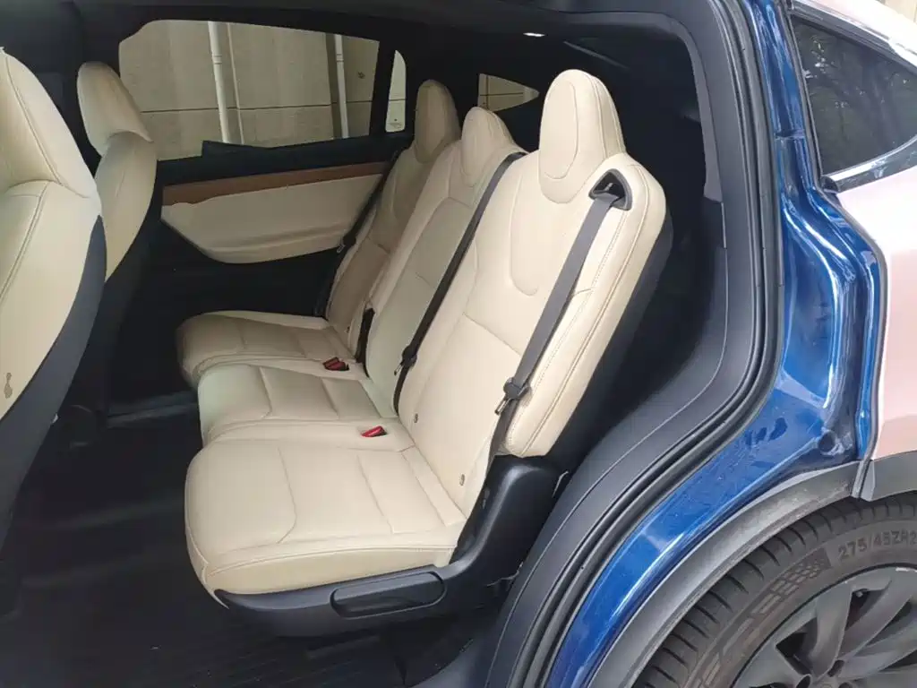 Tesla Model X — фото 17