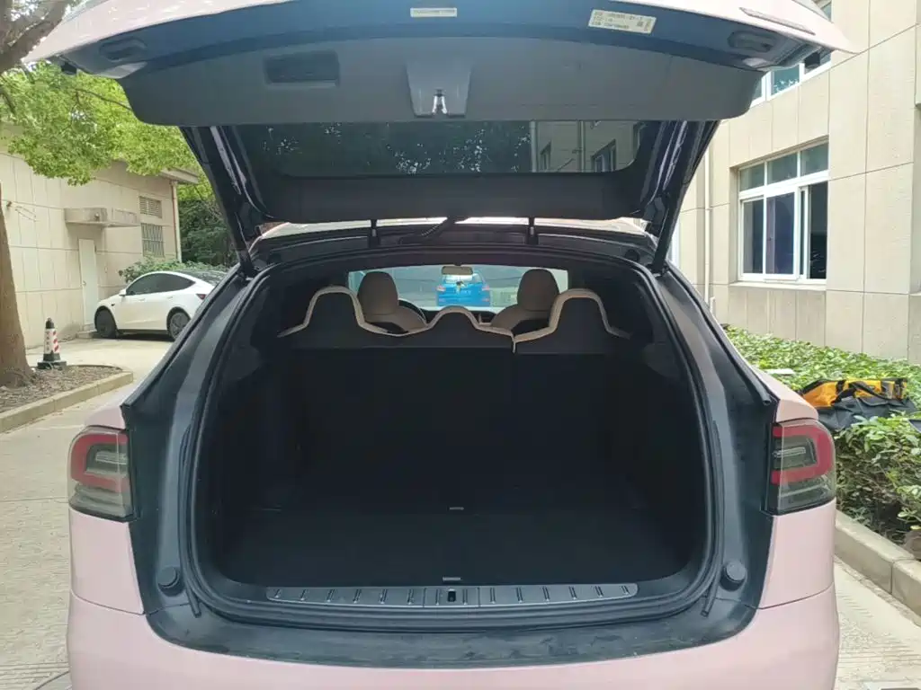 Tesla Model X — фото 19
