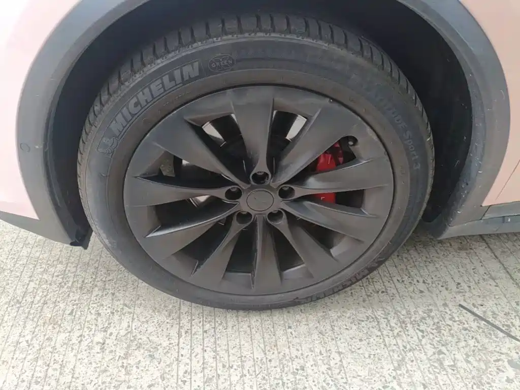 Tesla Model X — фото 23