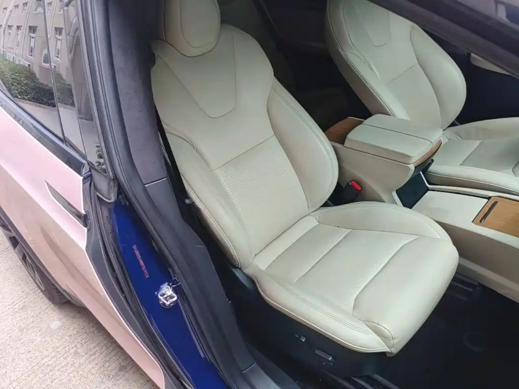 Tesla Model X — фото 25