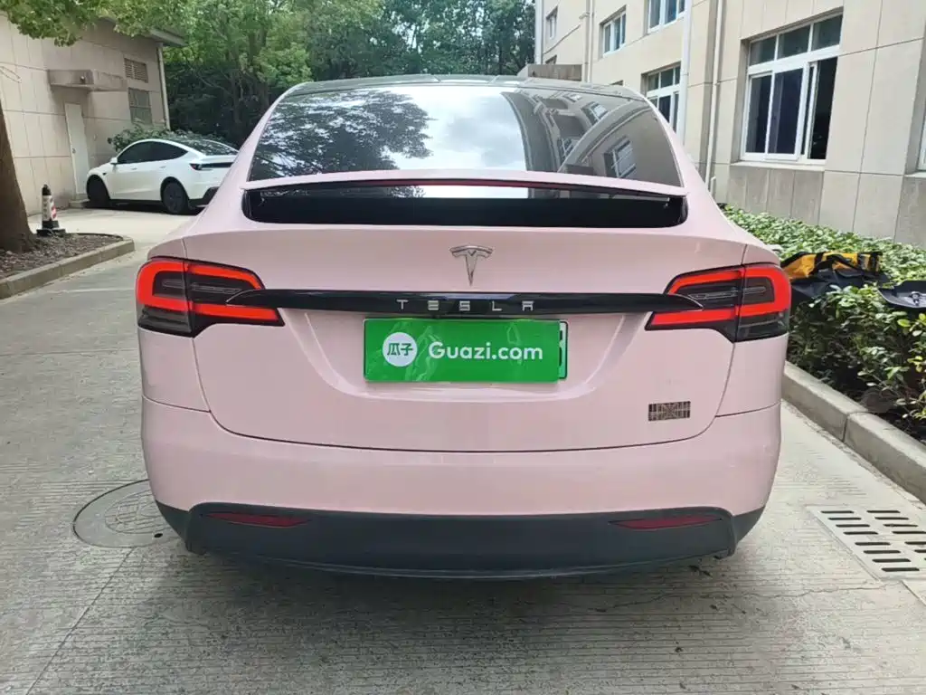 Tesla Model X — фото 6