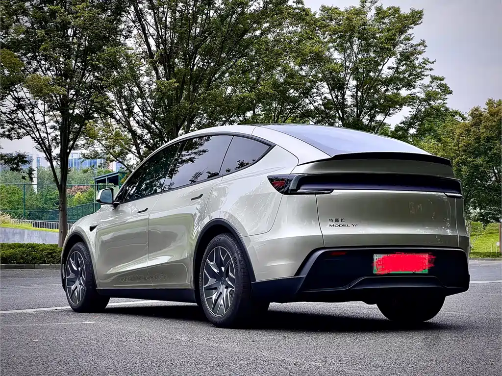 Tesla Model Y L — фото 6