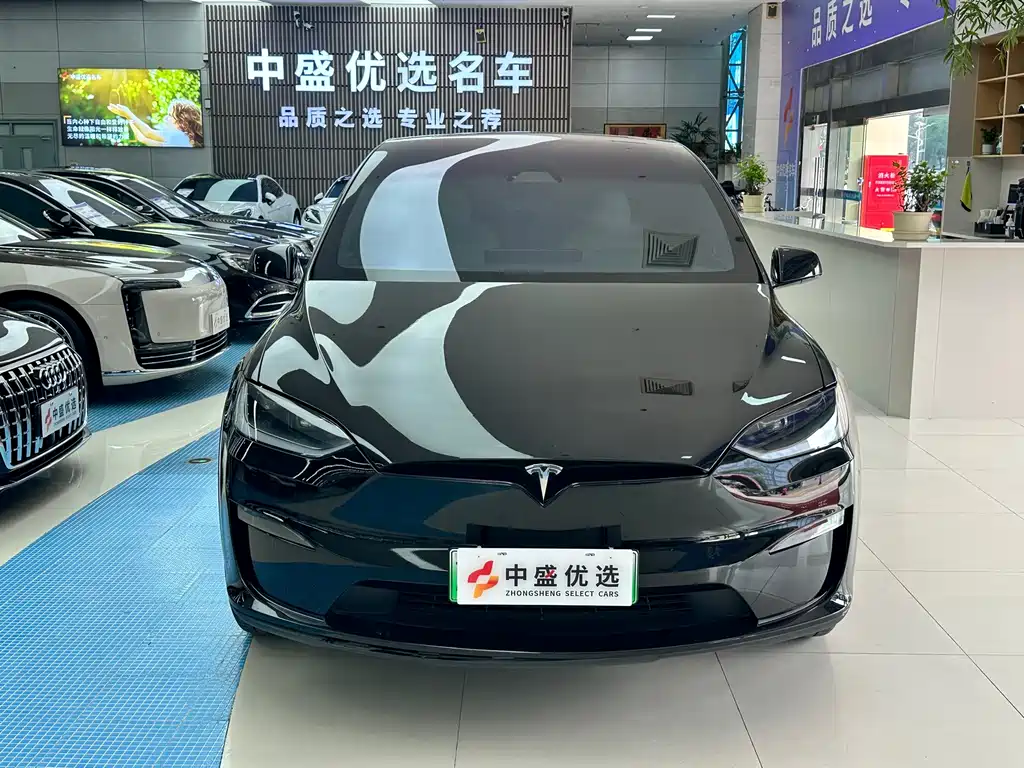 Tesla Model X — фото 2