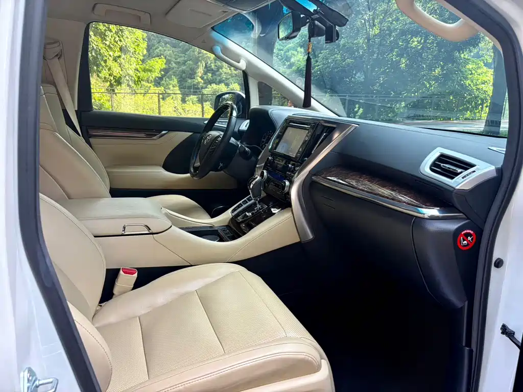 Toyota Alphard — фото 13