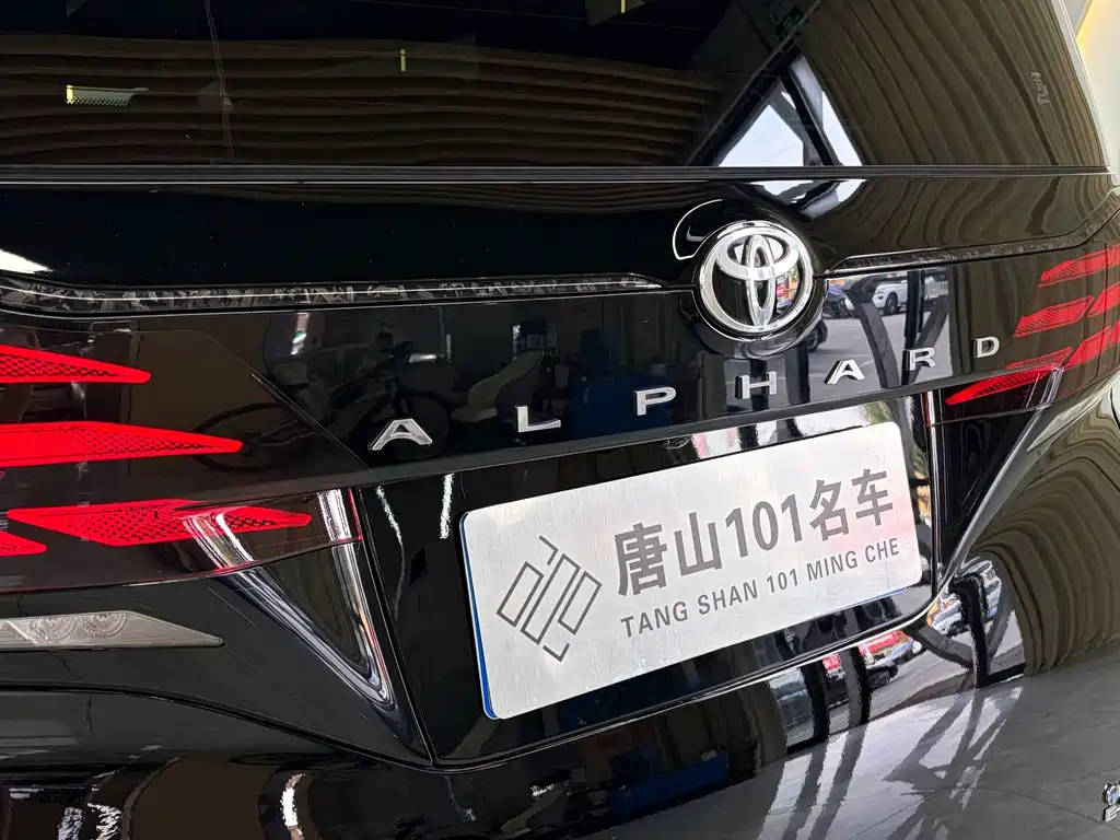 Toyota Alphard — фото 14