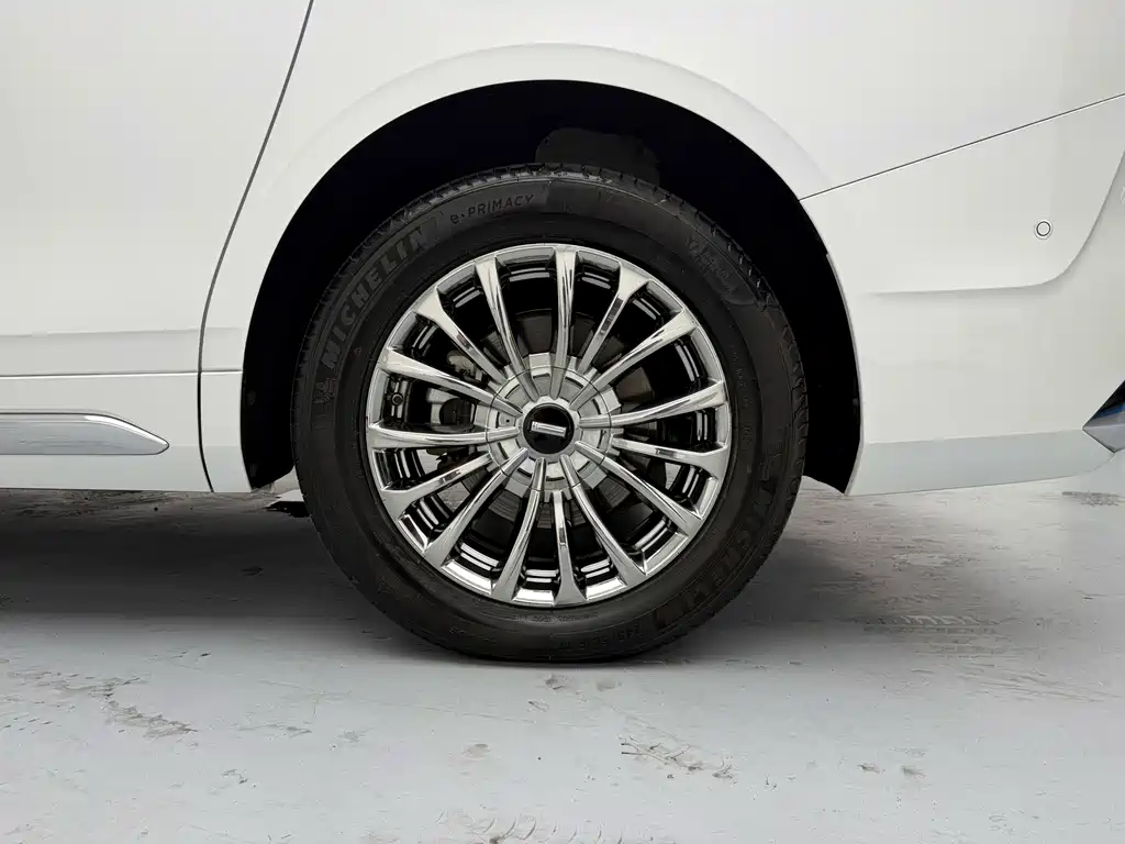 Wey Wey Gaoshan New Energy — фото 19