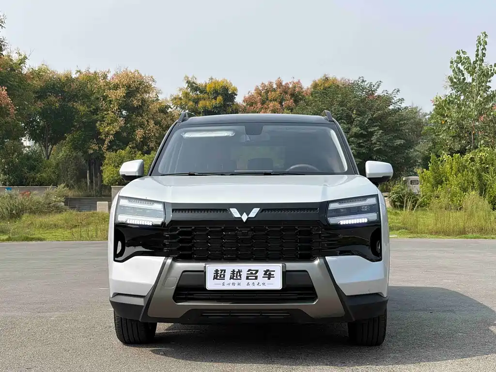 Wuling Xingguang 560 — фото 2
