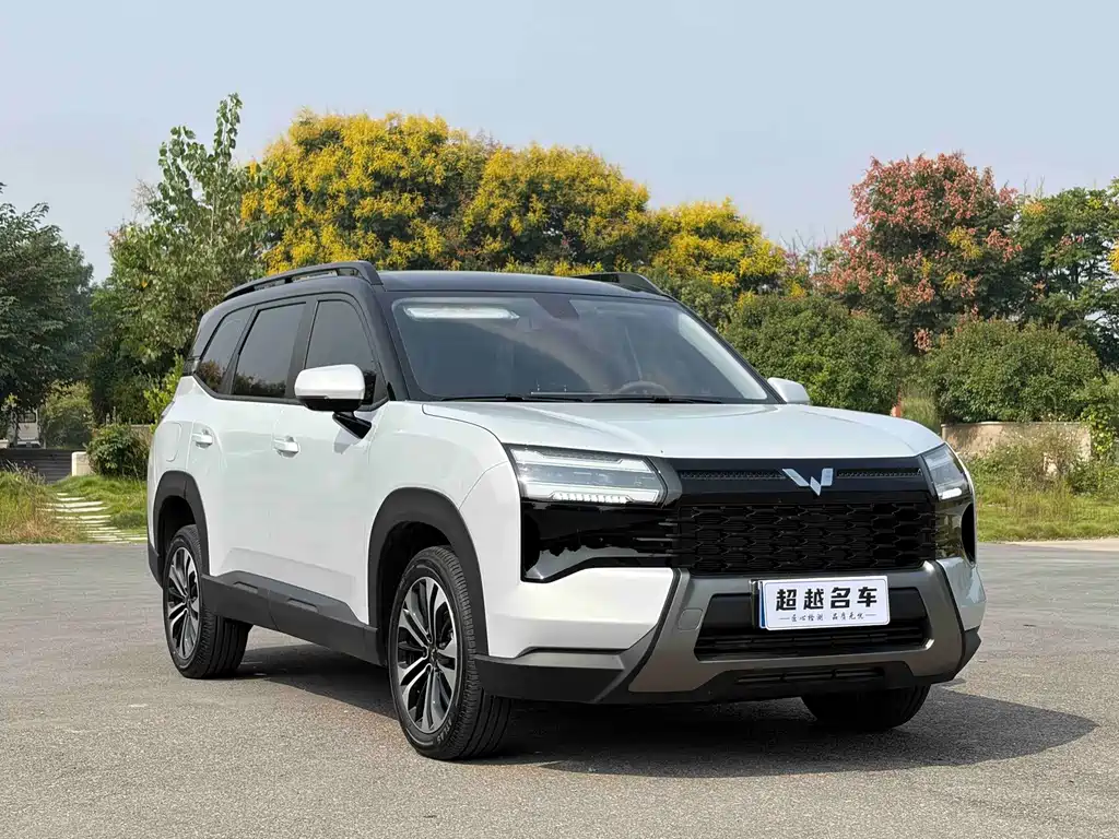 Wuling Xingguang 560 — фото 3