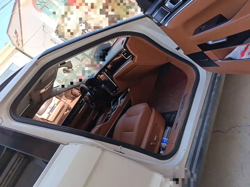 Zotye Zotye T700 — фото 19