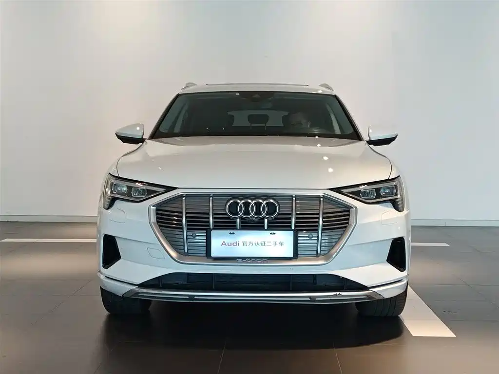 Audi e-tron (Import) — фото 2