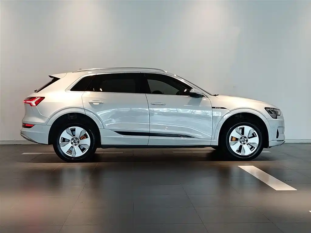 Audi e-tron (Import) — фото 3