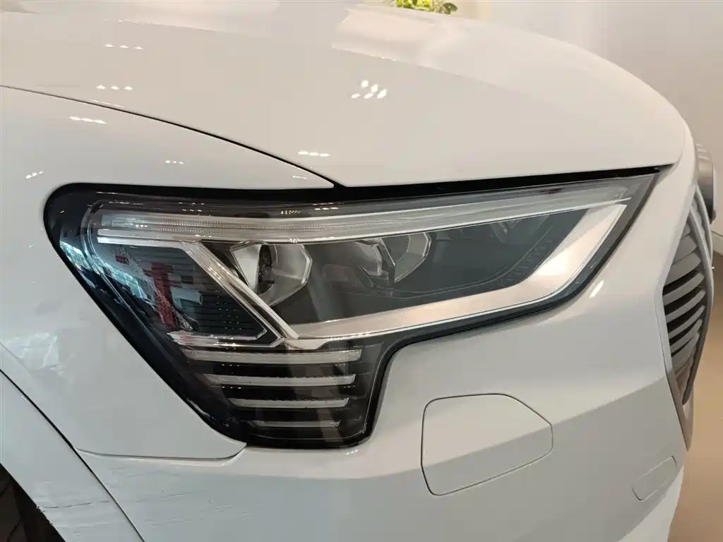 Audi e-tron (Import) — фото 10