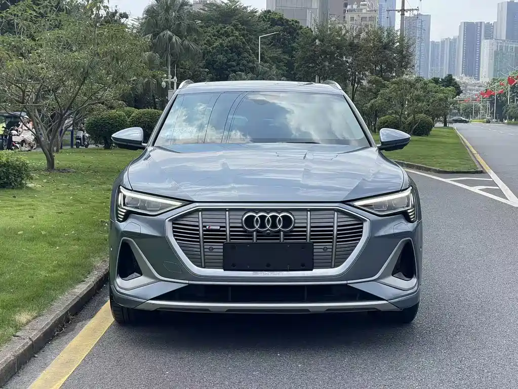 Audi e-tron — фото 2