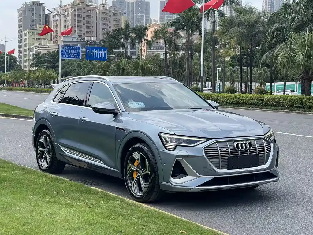 Audi e-tron — фото 3