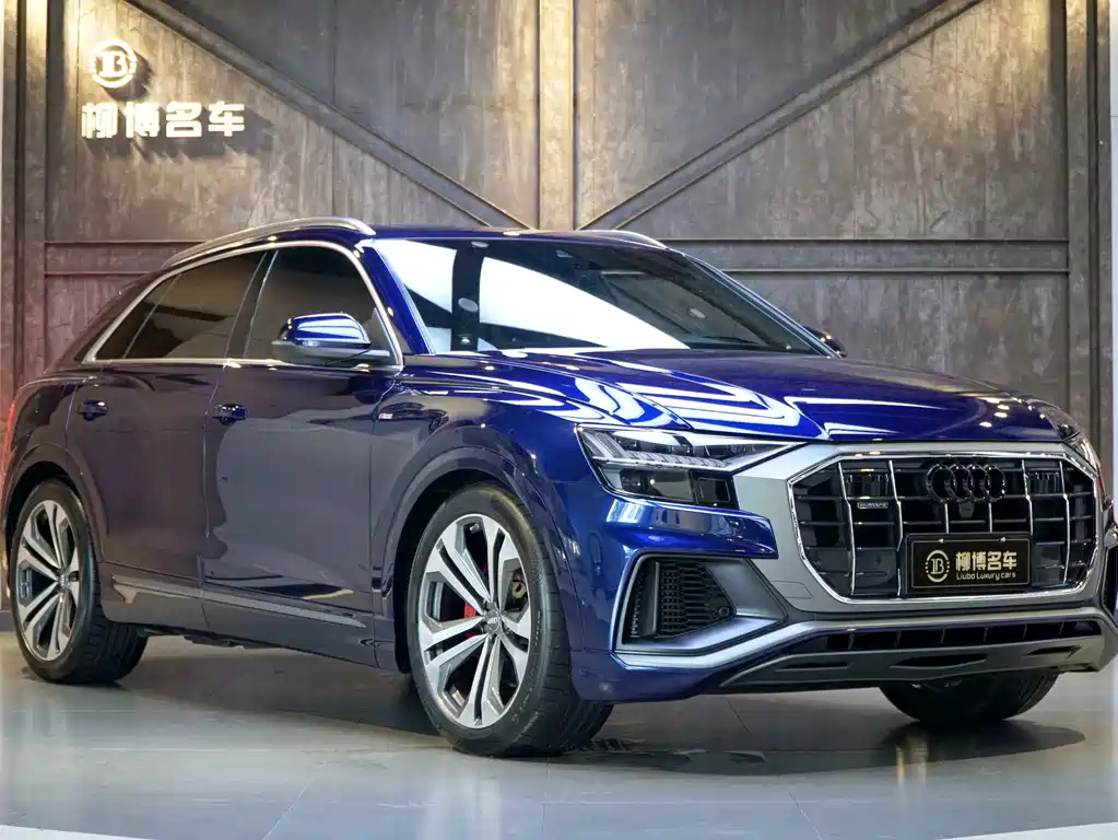 Audi Q8 — фото 15