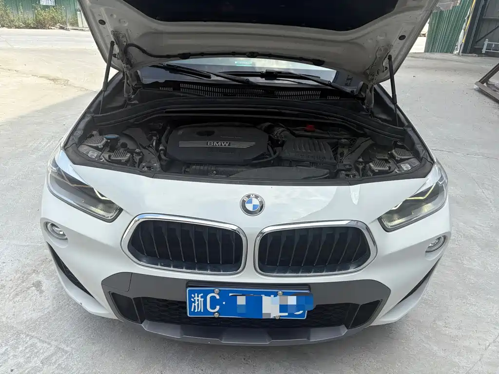 BMW X2 (Import) — фото 9