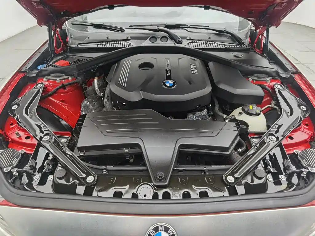 BMW 2 Series (Import) — фото 6