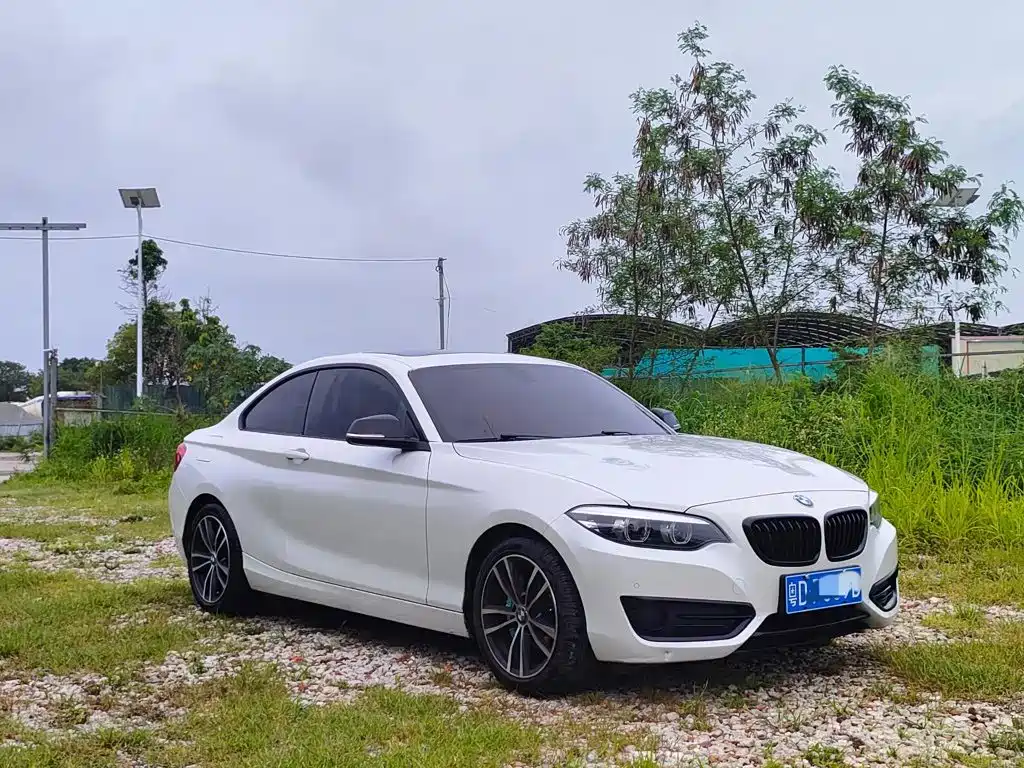 BMW 2 Series (Import) — фото 2