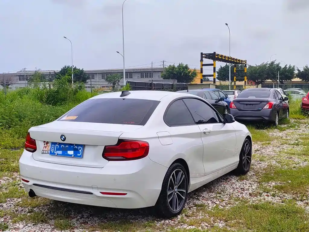 BMW 2 Series (Import) — фото 8