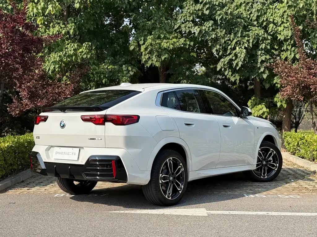 BMW X2 (Import) — фото 4