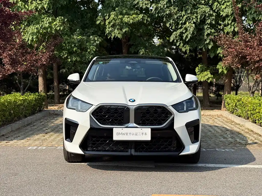 BMW X2 (Import) — фото 5