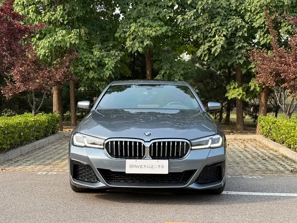 BMW 5 Series (Import) — фото 5