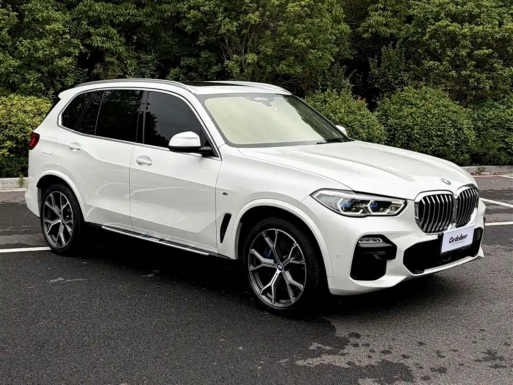 BMW X5 (Import) — фото 4
