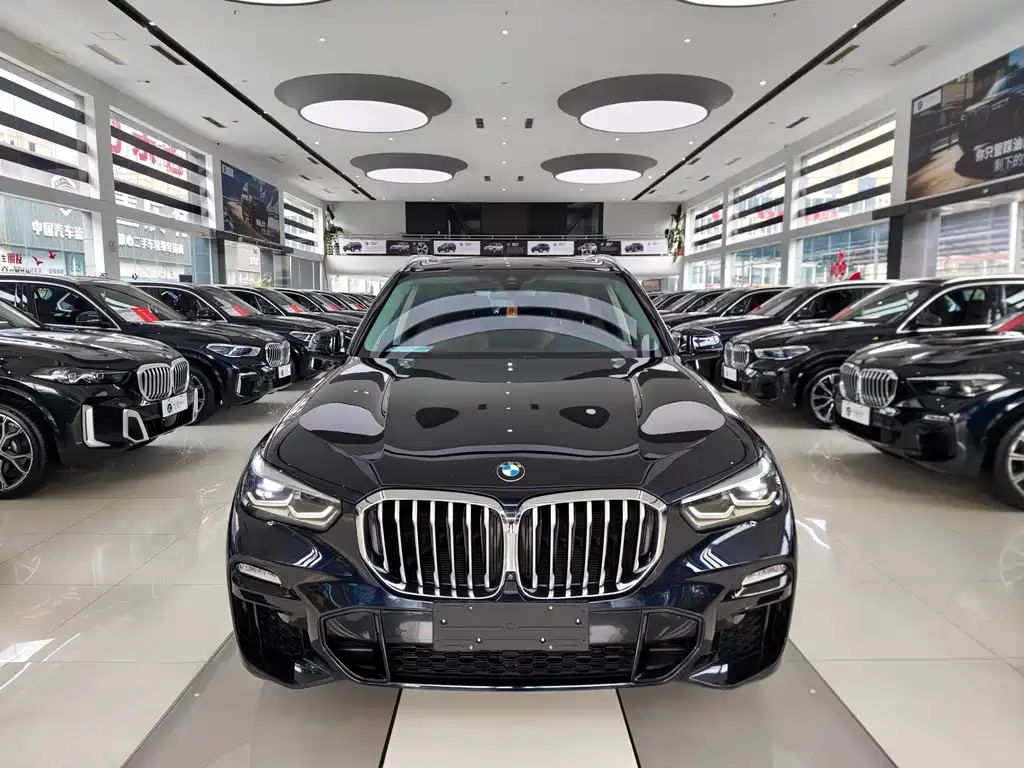 BMW X5 (Import) — фото 2