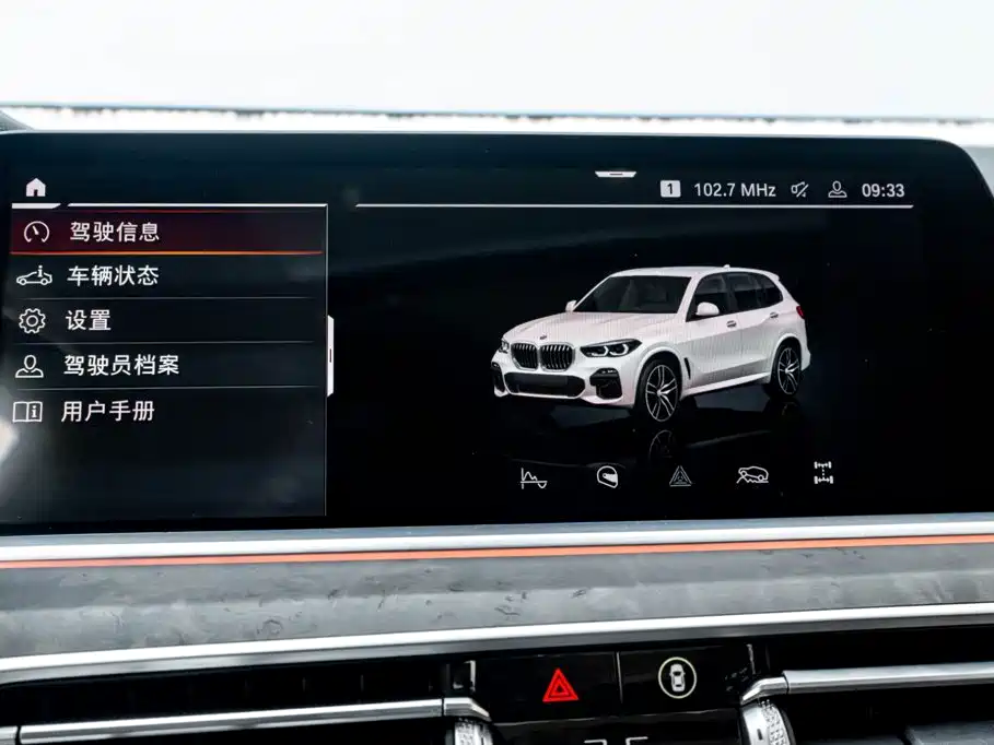 BMW X5 (Import) — фото 18