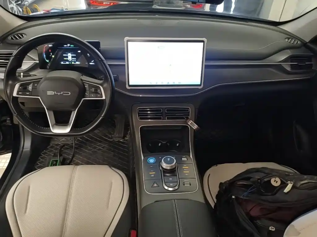 BYD Destroyer 05 — фото 10