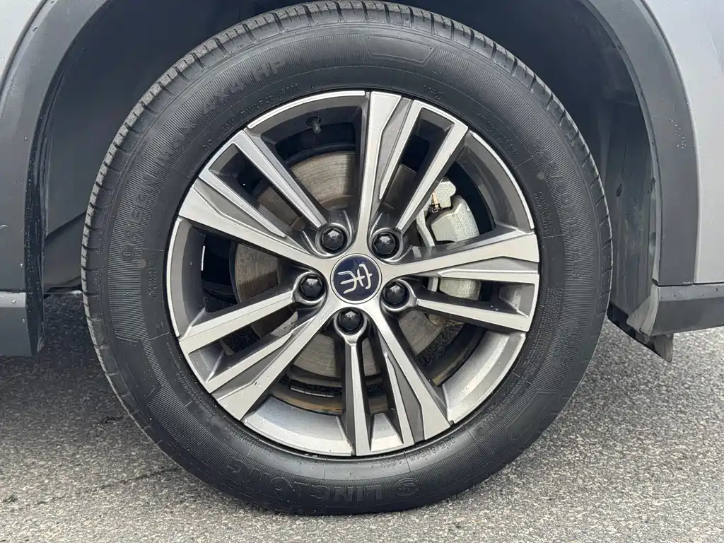 BYD Pro New Energy — фото 23