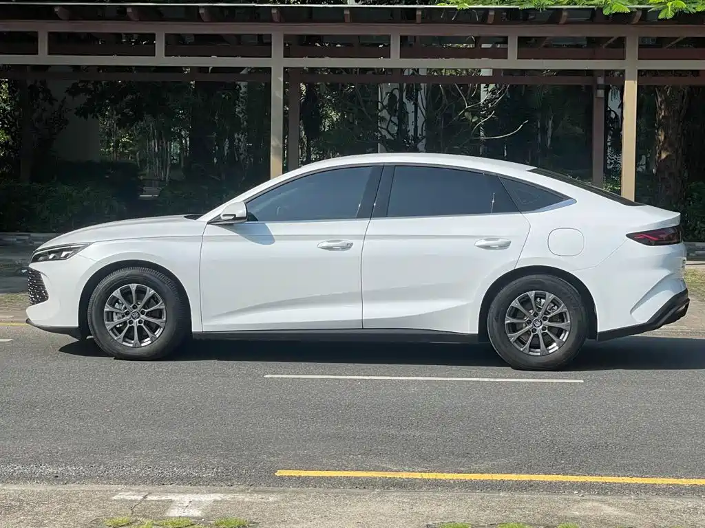 BYD Qin L — фото 23