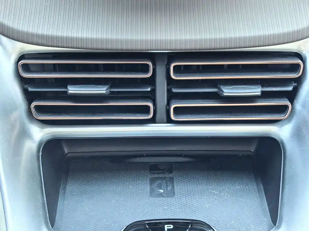 BYD Pro New Energy — фото 11