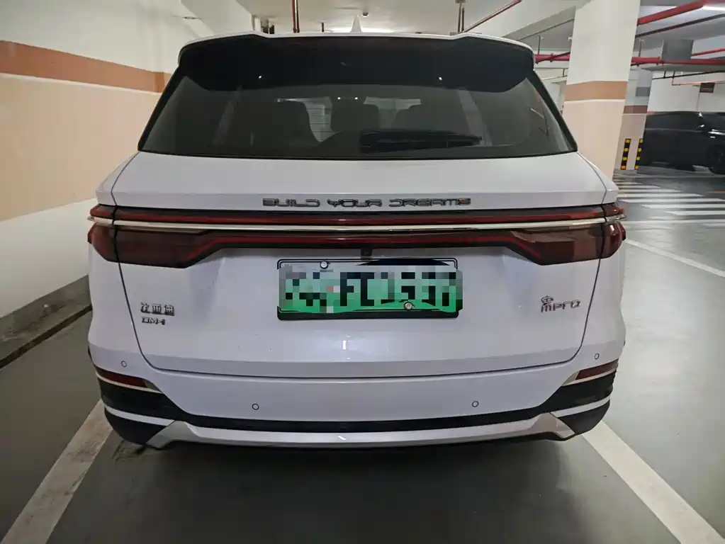 BYD Pro New Energy — фото 4