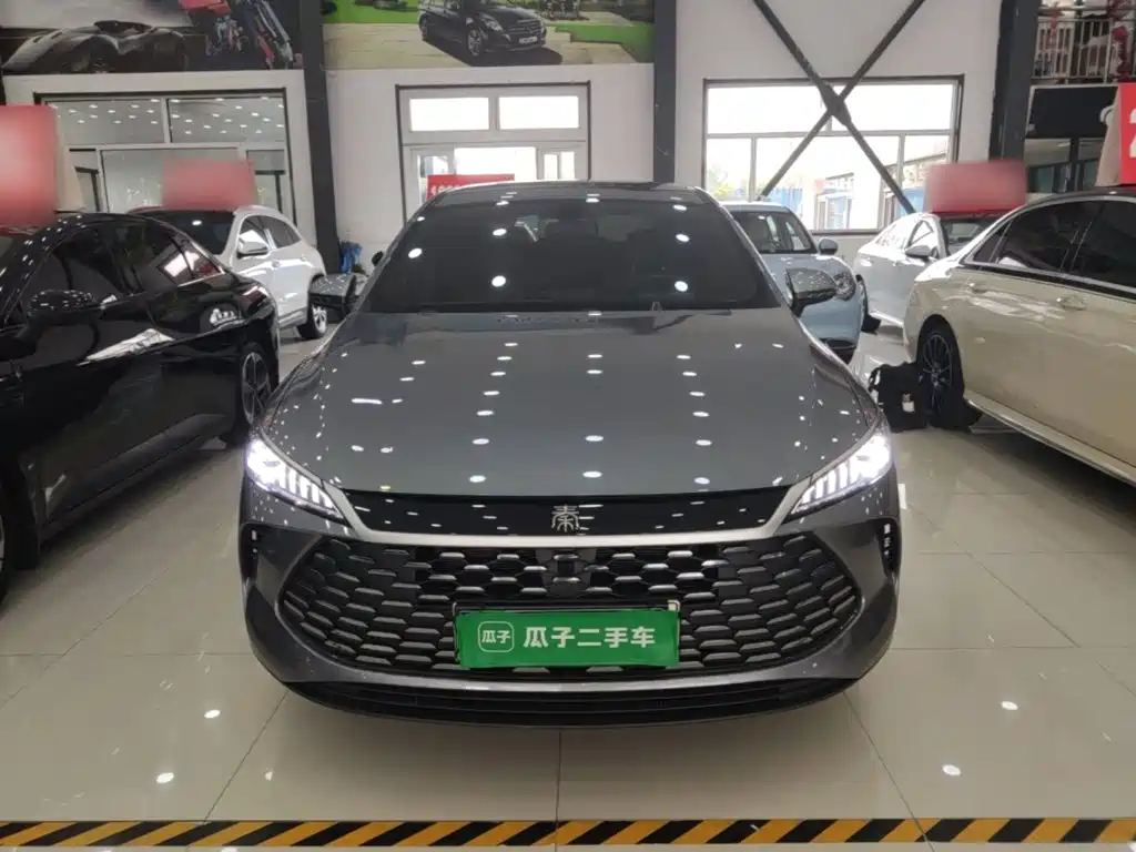 BYD Qin PLUS — фото 3