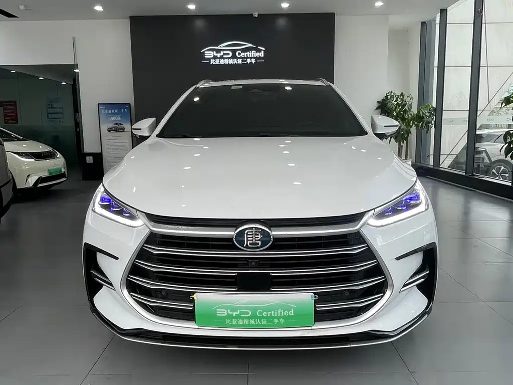 BYD Tang New Energy — фото 2