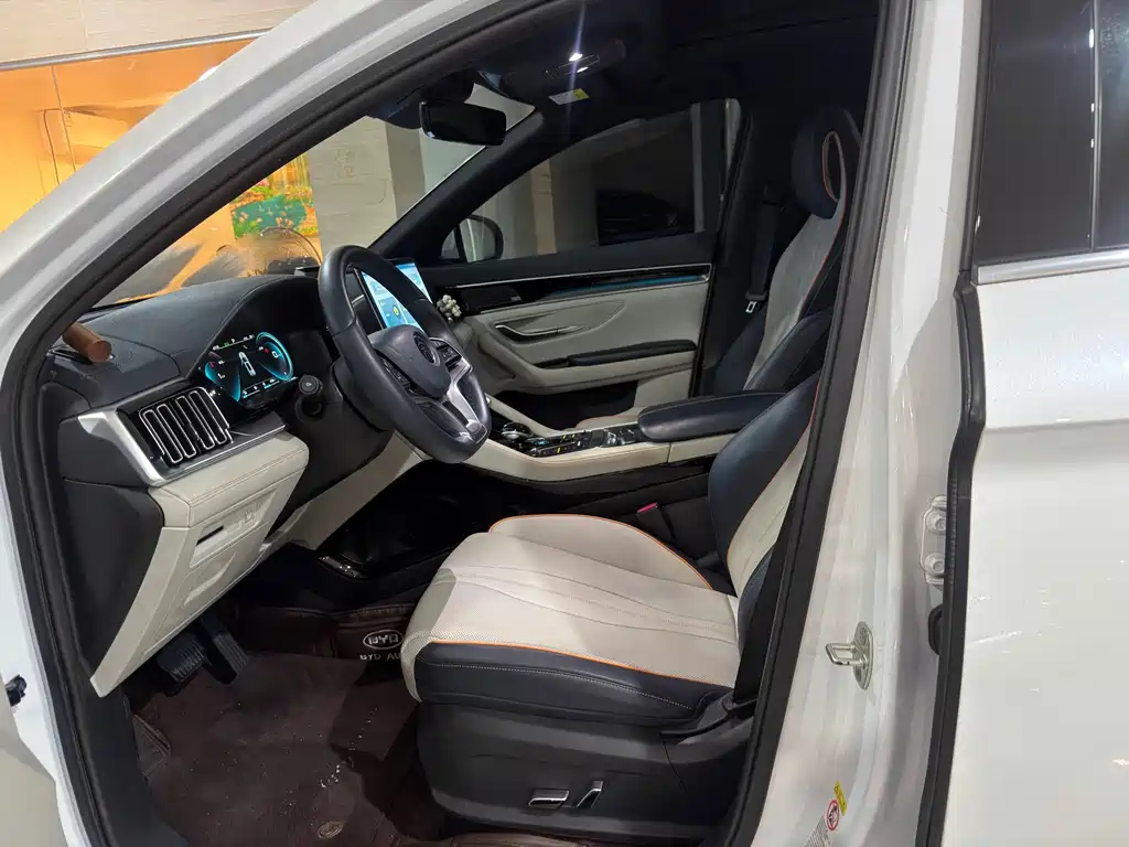 BYD PLUS New Energy — фото 4